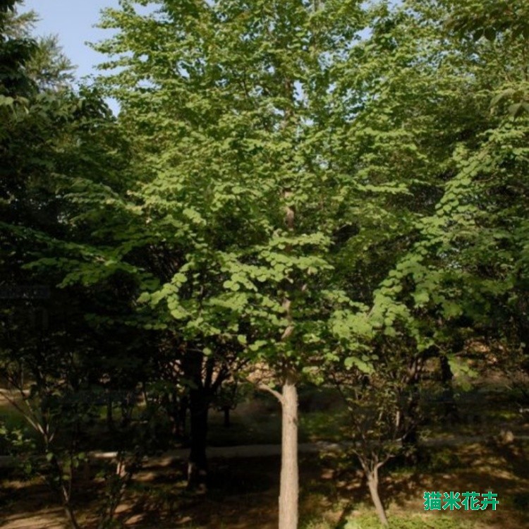 t0168e98c88ffd33dd7.jpg