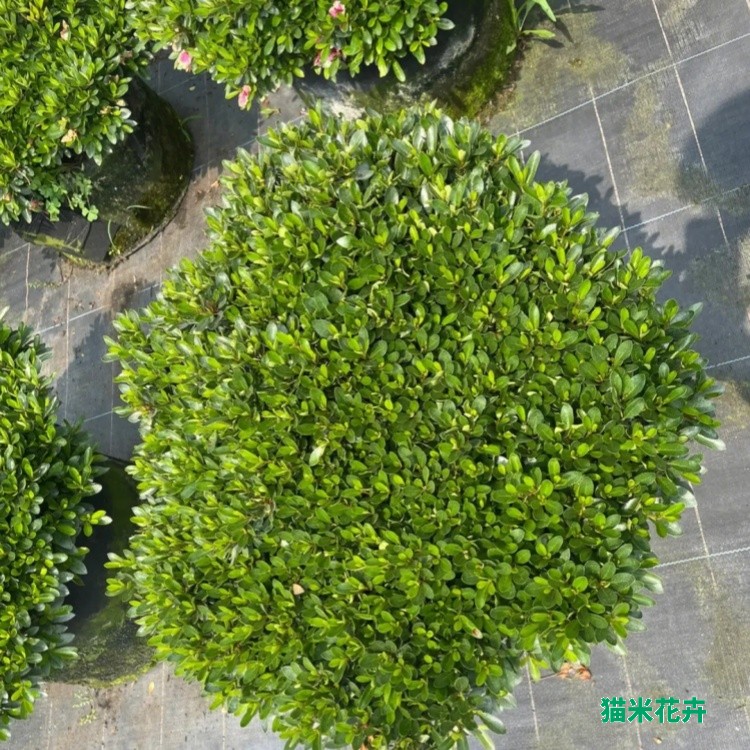 微信图片_20240226112619.jpg