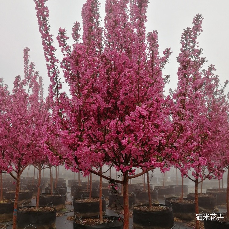 微信图片_2019041211014516.jpg