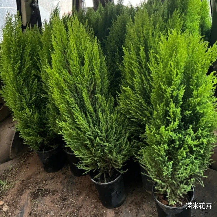 微信图片_20240308162601.jpg