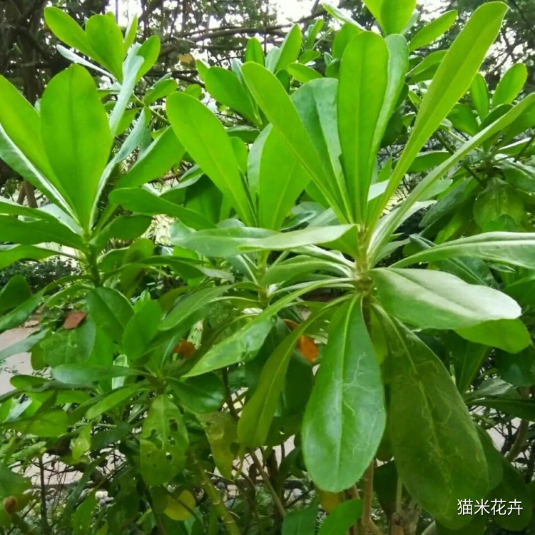 微信图片_20240403094849.jpg