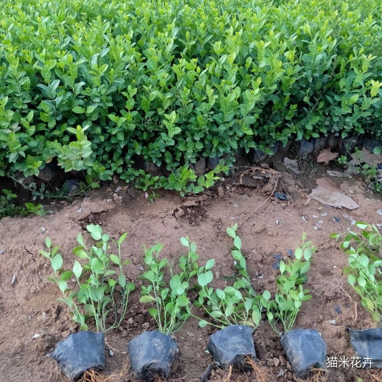 56560620211016071455.jpg