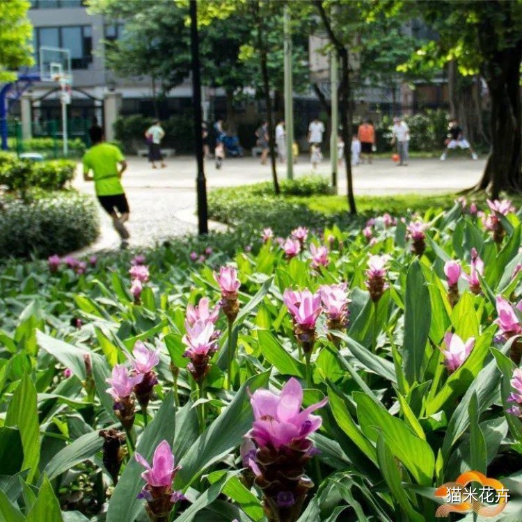 微信图片_20240308163702.jpg