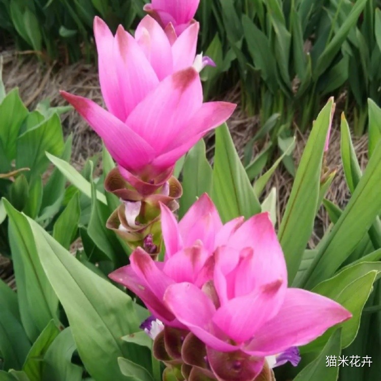 微信图片_20240308163654.jpg