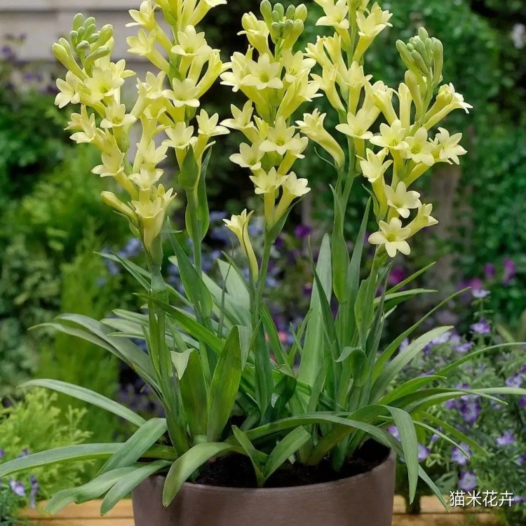 11fab38248db4a2cb64c6277f4c46368.jpg