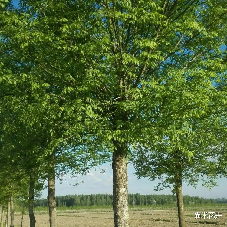 微信图片_20240308164354.jpg
