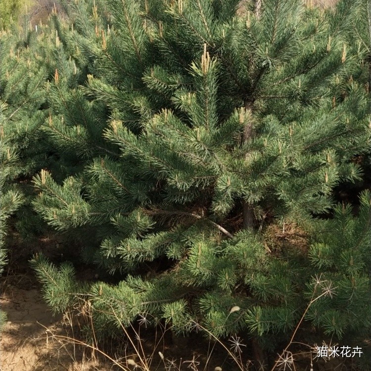 微信图片_20240404102203.jpg
