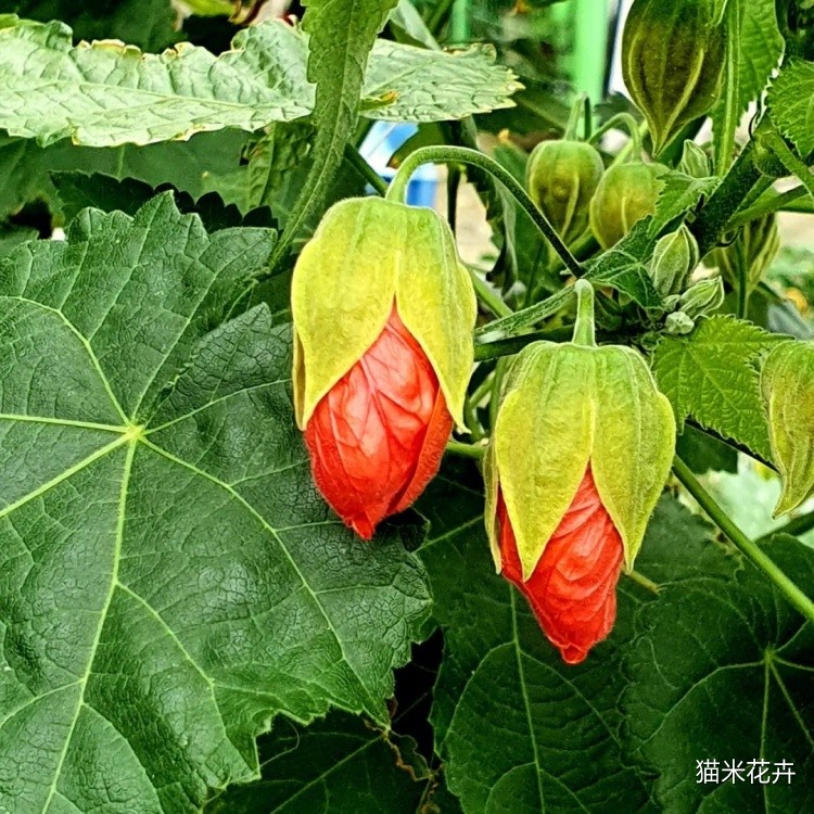 微信图片_20240309091401.jpg