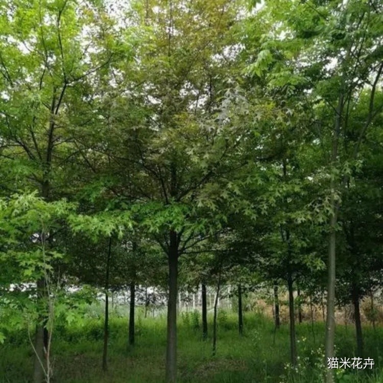 微信图片_20240309092320.jpg