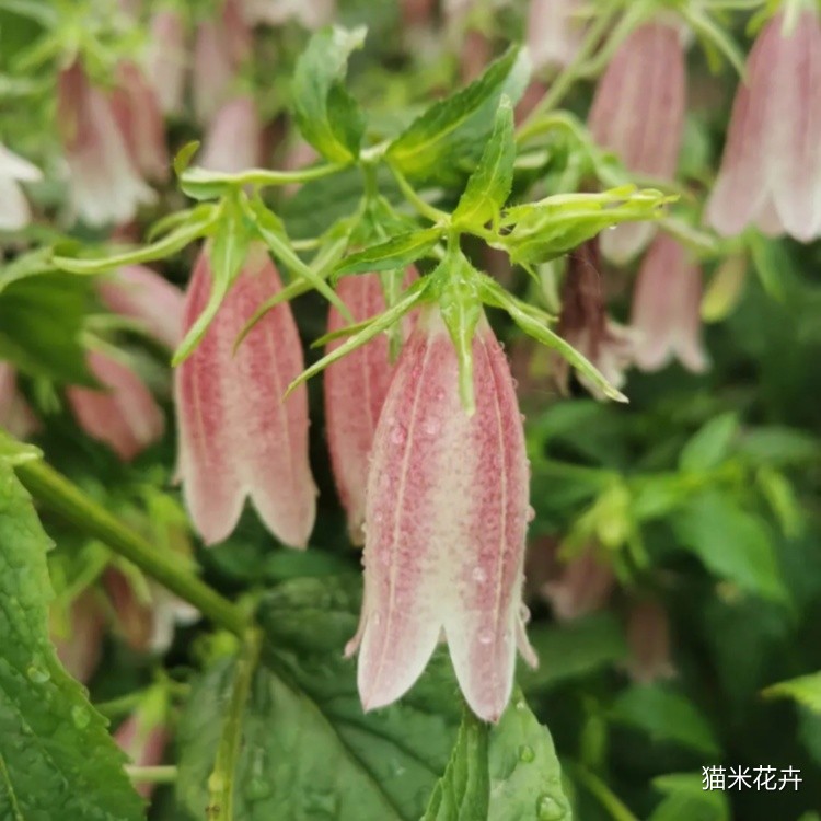 微信图片_20240309100757.jpg