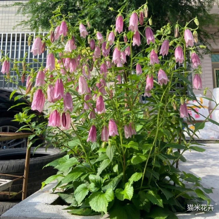 微信图片_20240309100810.jpg