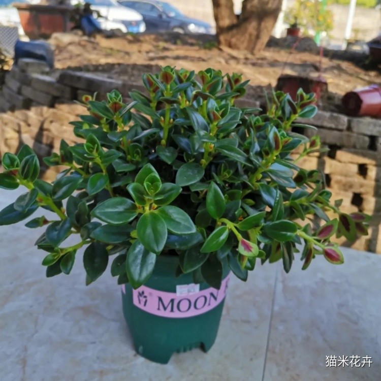 微信图片_20240309100859.jpg