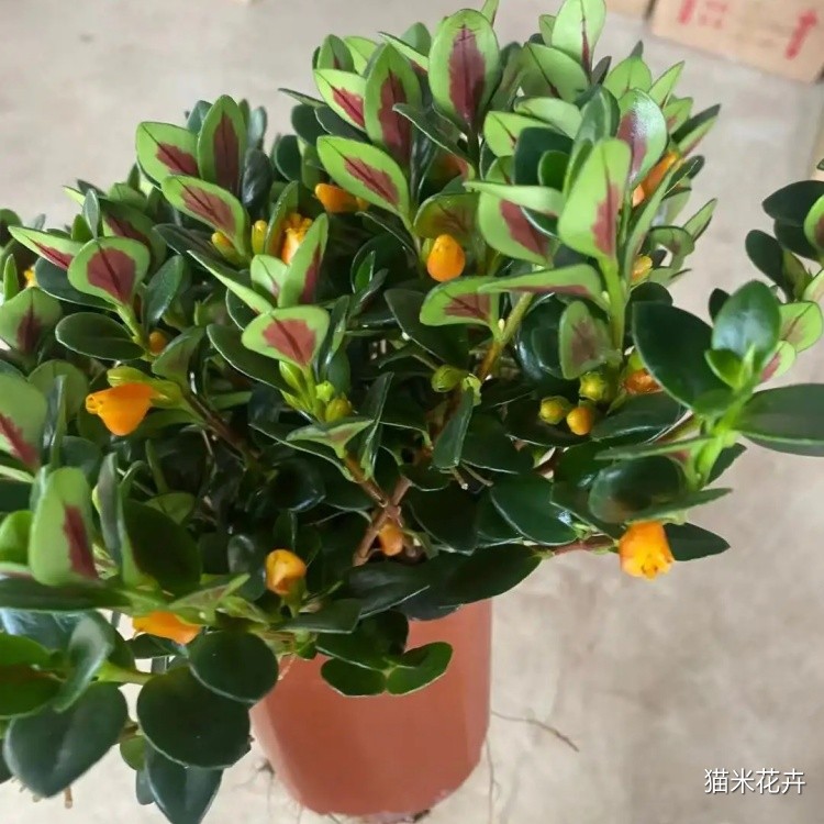 微信图片_20240309100939.jpg