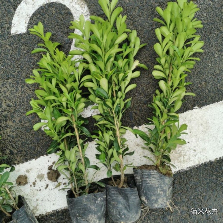 微信图片_20240309101050.jpg