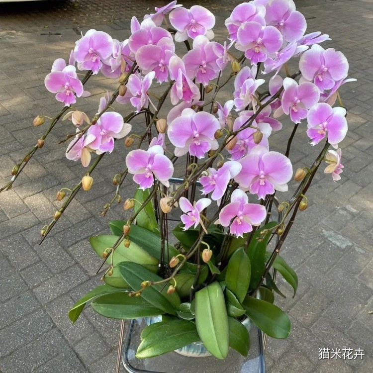 src=http___safe-img.xhscdn.com_bw1_2a870edf-72dd-405a-8aa8-7691ff5150ae_imageView2_2_w_1080_format_jpg&refer=http___safe-img.xhscdn.webp.jpg