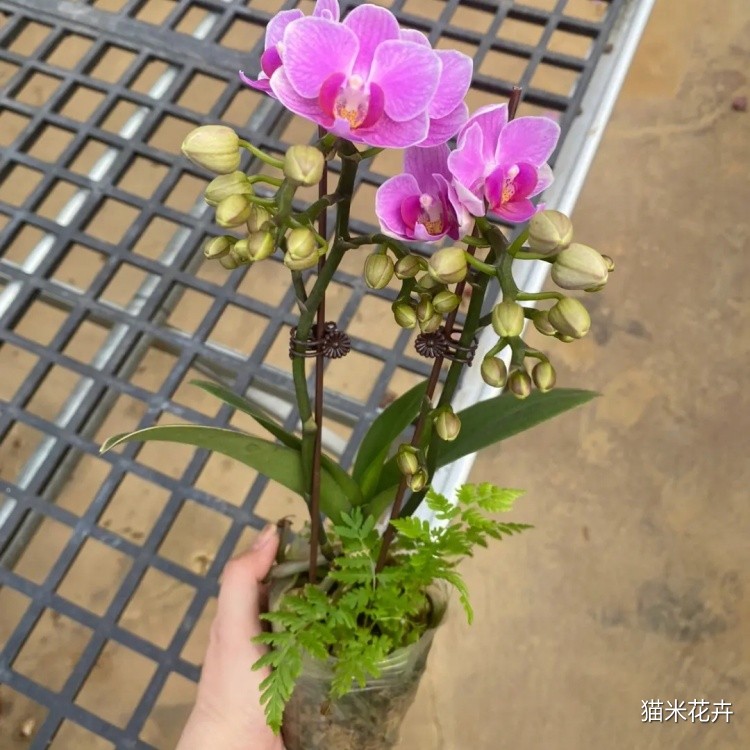 src=http___safe-img.xhscdn.com_bw1_45e409a8-fbe0-4ae8-98dd-bc0547b4974b_imageView2_2_w_1080_format_jpg&refer=http___safe-img.xhscdn.webp.jpg