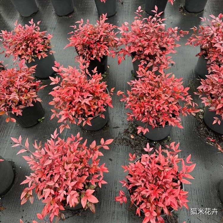 微信图片_20240103165512.jpg