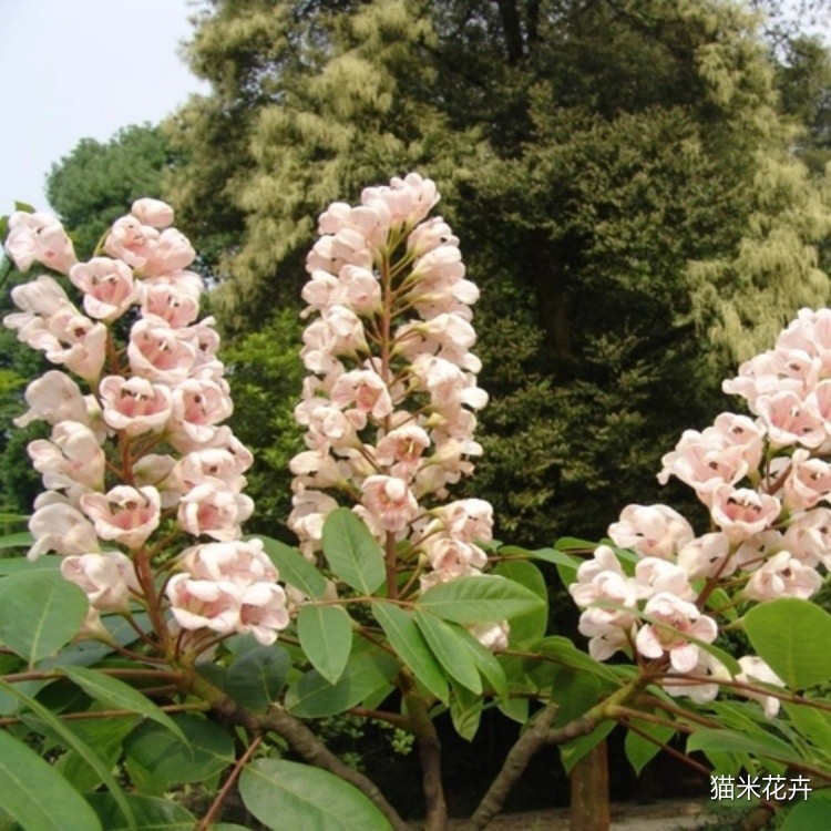 微信图片_20240309101225.jpg