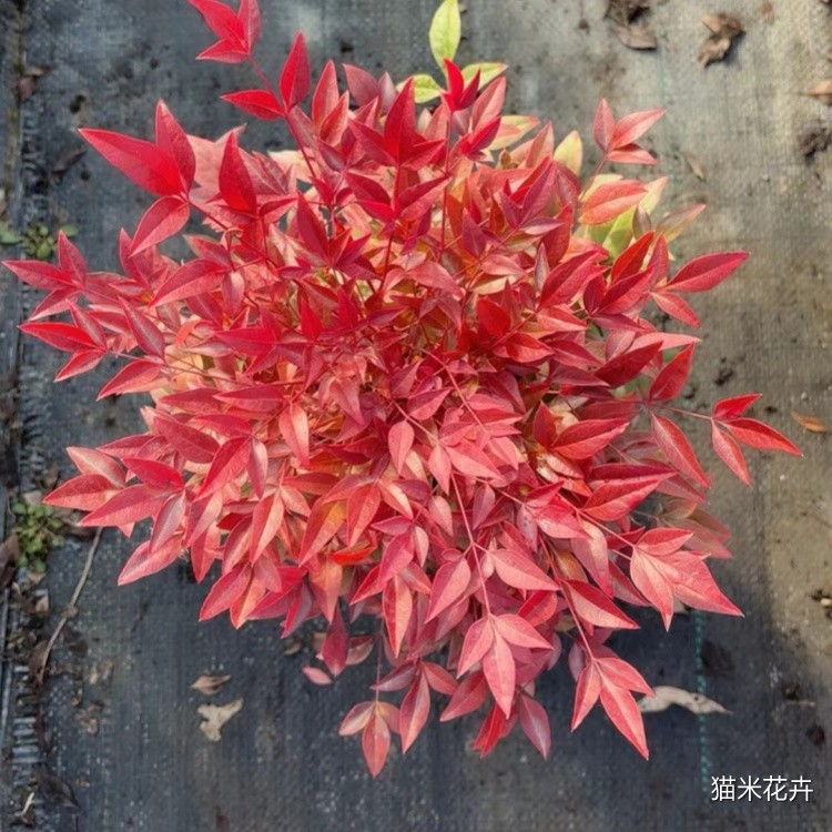 微信图片_20240103165529.jpg