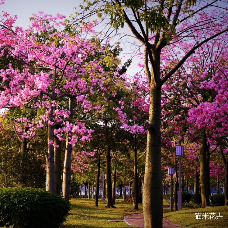 微信图片_20240309101711.jpg