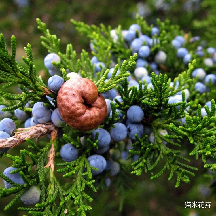 微信图片_20240309102429.jpg