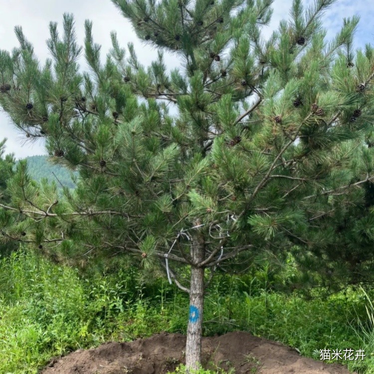 微信图片_20240309102552.jpg