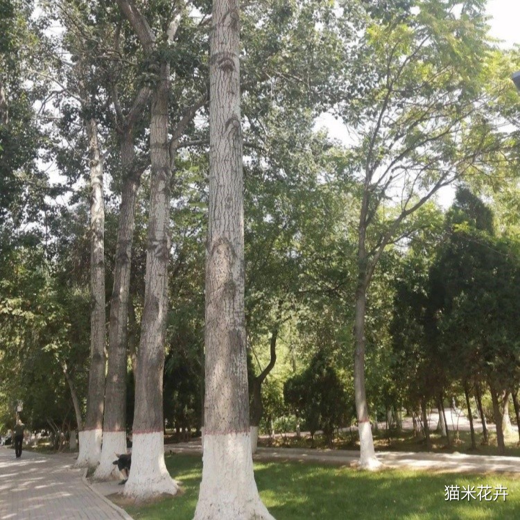 微信图片_20240309102615.jpg