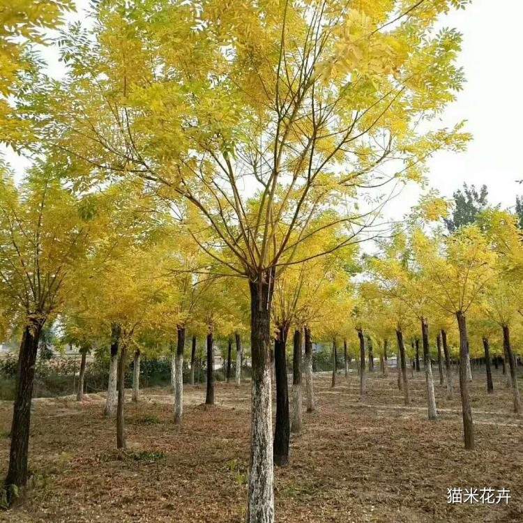 微信图片_20240309103114.jpg