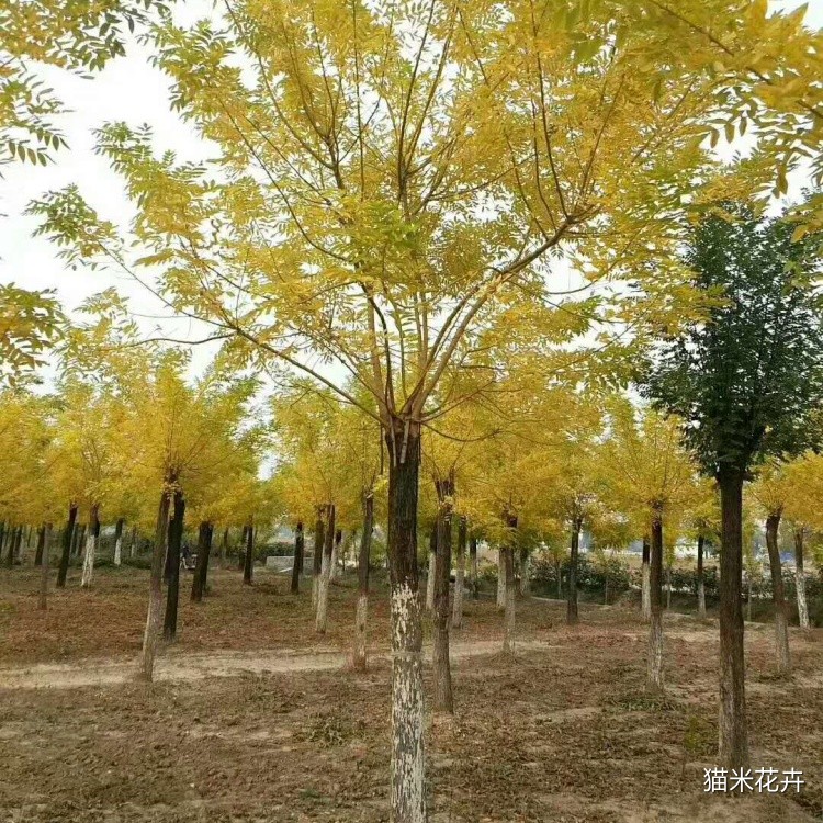 微信图片_20240309103122.jpg