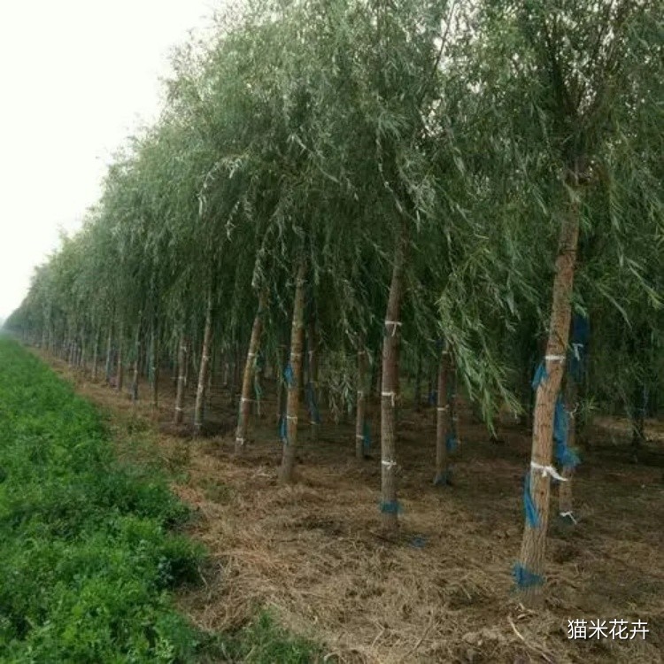 微信图片_20240309102932.jpg