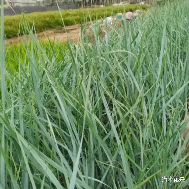 微信图片_20240309103808.jpg