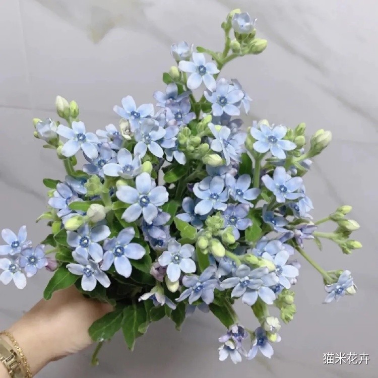 微信图片_20240309104229.jpg