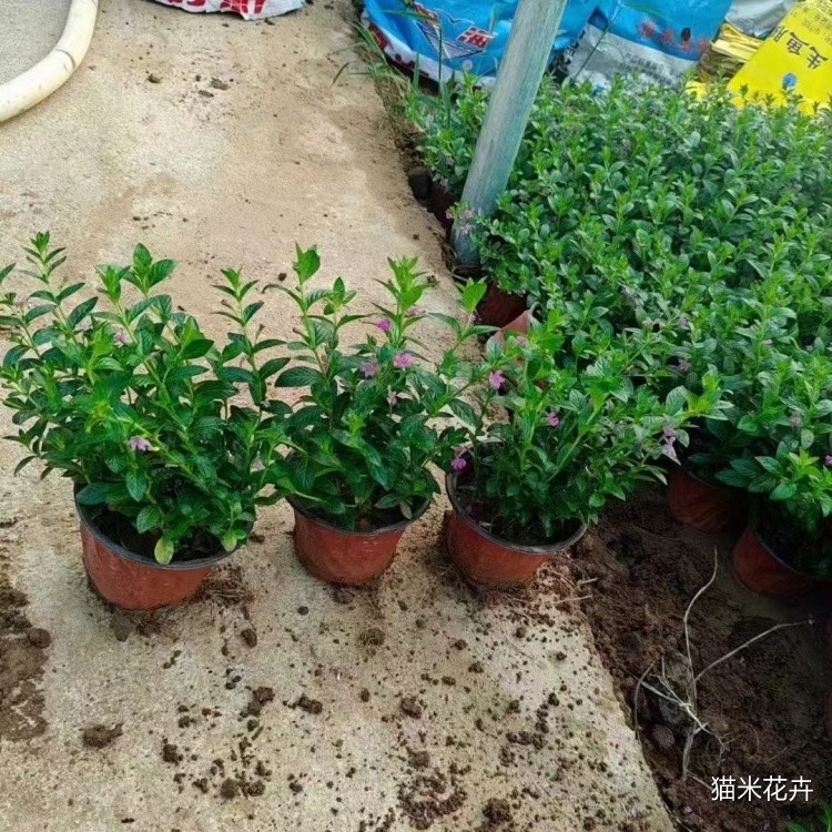 微信图片_20240715134918.jpg