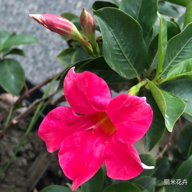 微信图片_20240309105516.jpg