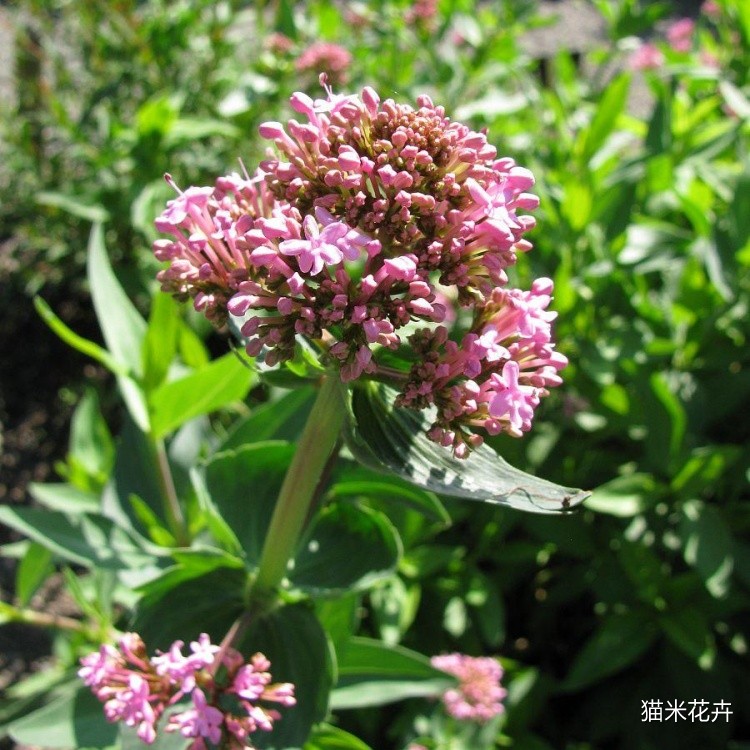微信图片_20240309112900.jpg