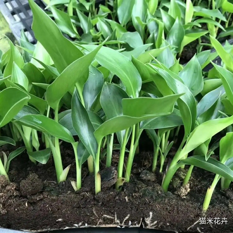 微信图片_20240309112728.jpg